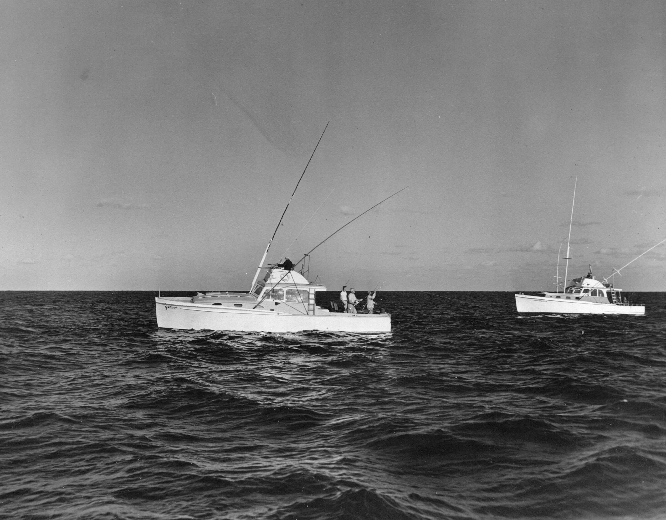 Click to See Next Image